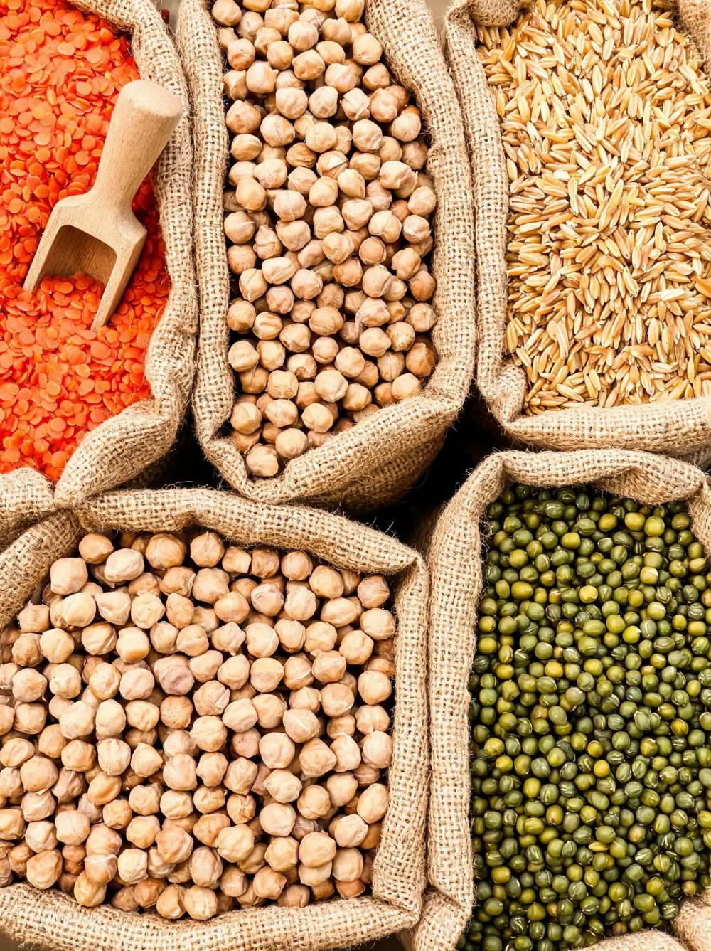Food Grains