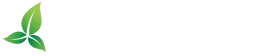 DTI White